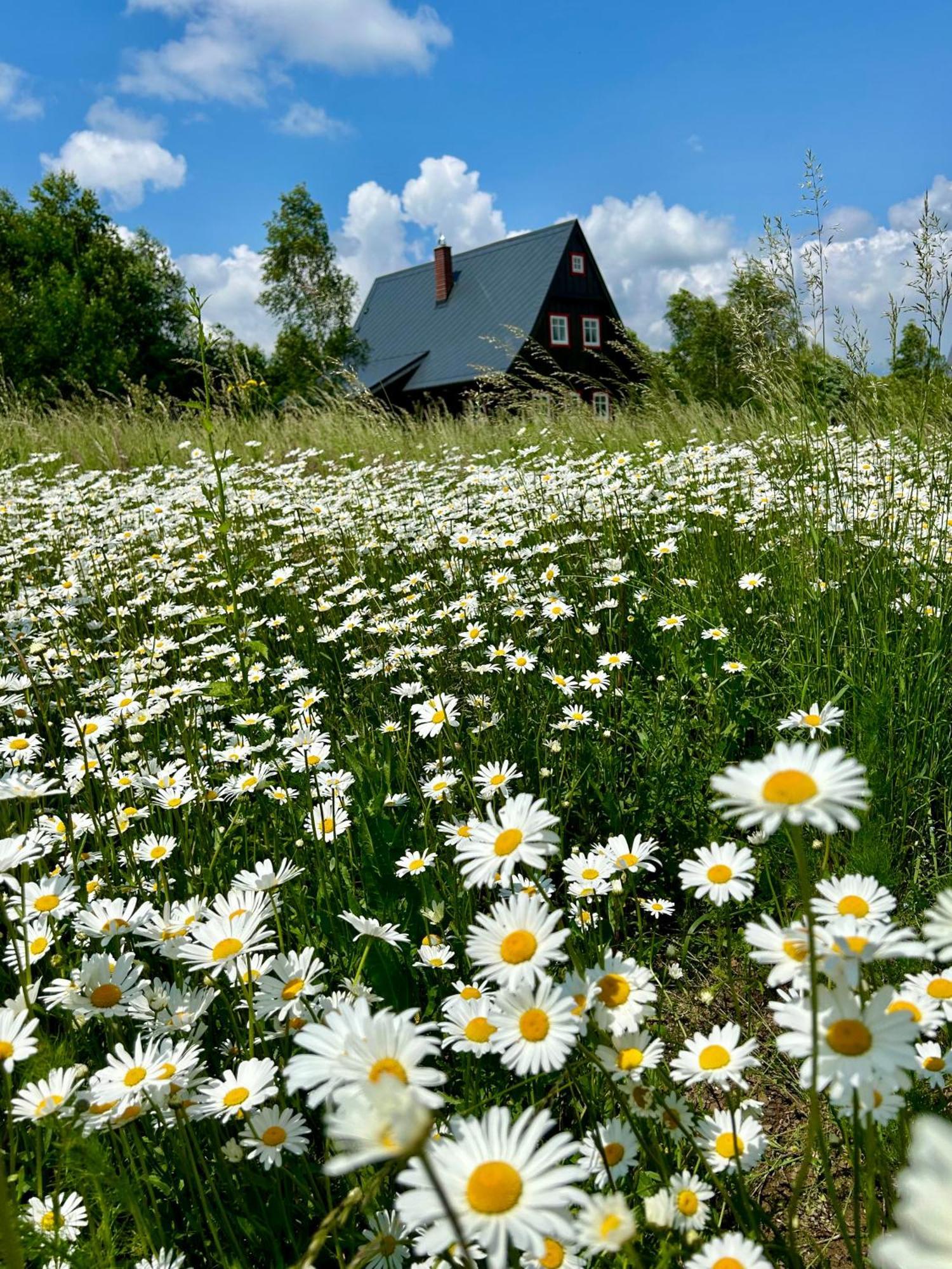 Chata Waliszow Nowy Waliszow Exterior photo